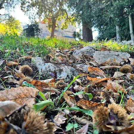 Il Trullo E Il Fortino Alberobello Bagian luar foto