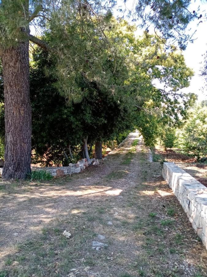 Il Trullo E Il Fortino Alberobello Bagian luar foto